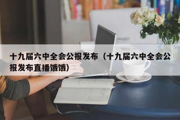 十九届六中全会公报发布（十九届六中全会公报发布直播饿饿）