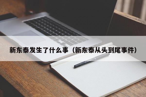 新东泰发生了什么事（新东泰从头到尾事件）