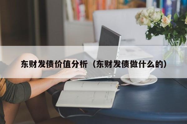 东财发债价值分析（东财发债做什么的）