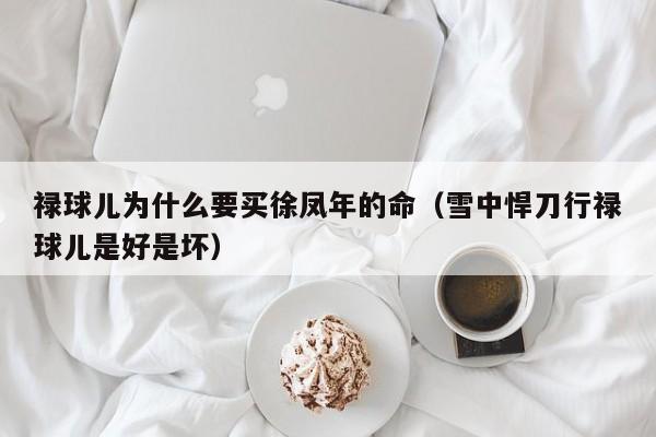 禄球儿为什么要买徐凤年的命（雪中悍刀行禄球儿是好是坏）