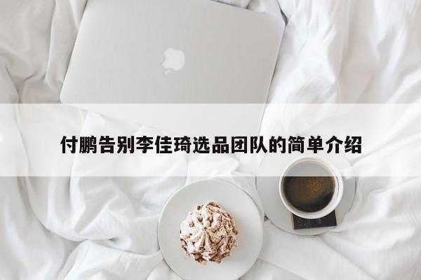 付鹏告别李佳琦选品团队的简单介绍