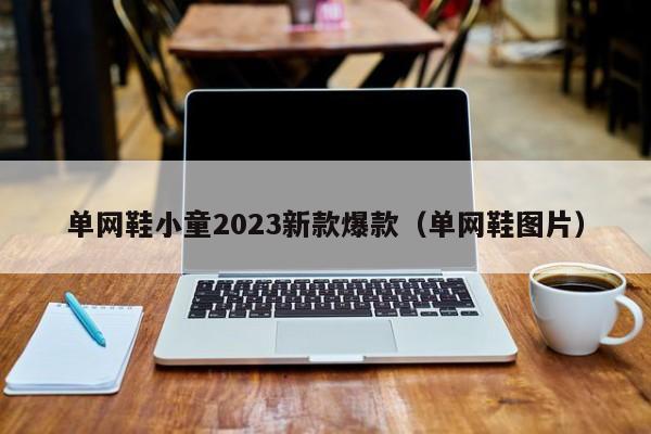 单网鞋小童2023新款爆款（单网鞋图片）