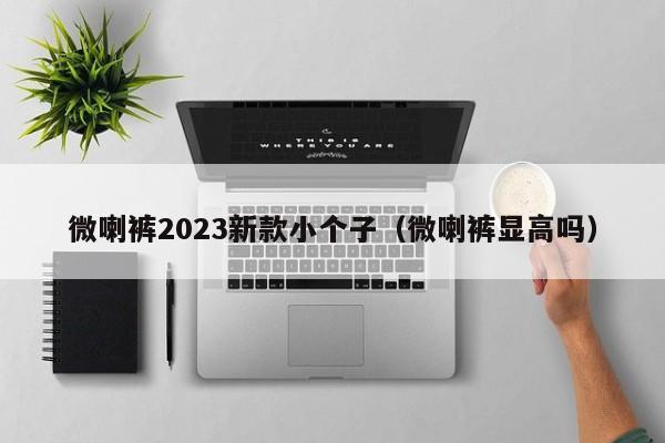 微喇裤2023新款小个子（微喇裤显高吗）