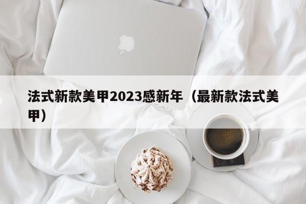 法式新款美甲2023感新年（最新款法式美甲）