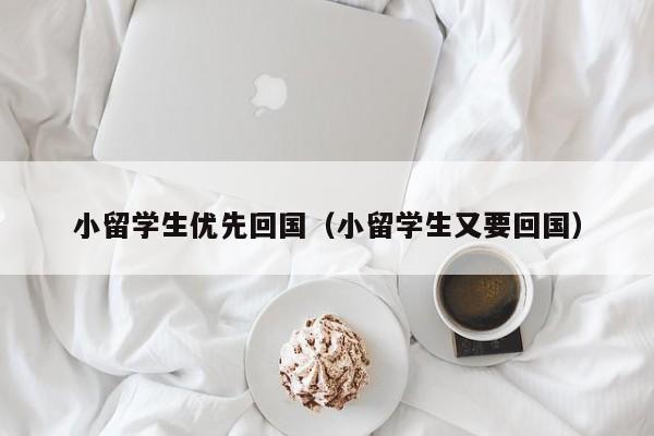 小留学生优先回国（小留学生又要回国）