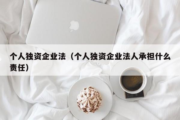 个人独资企业法（个人独资企业法人承担什么责任）