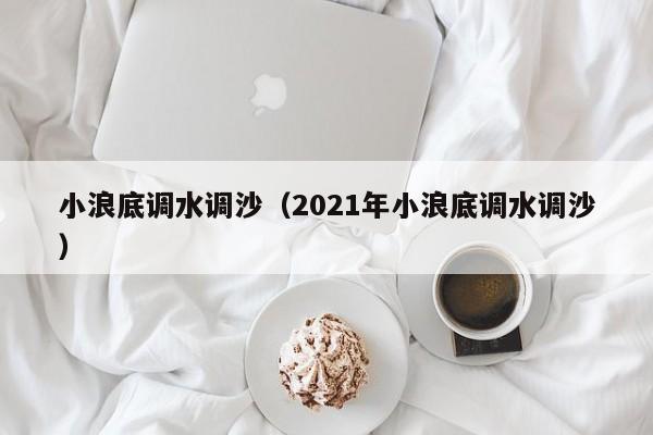 小浪底调水调沙（2021年小浪底调水调沙）