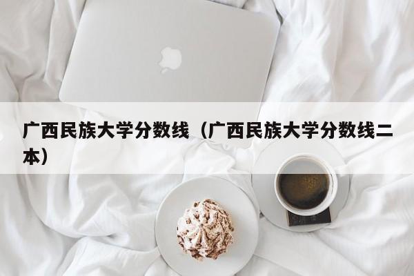 广西民族大学分数线（广西民族大学分数线二本）