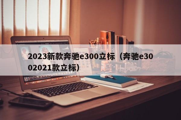 2023新款奔驰e300立标（奔驰e3002021款立标）