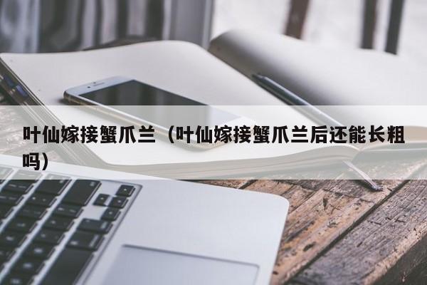 叶仙嫁接蟹爪兰（叶仙嫁接蟹爪兰后还能长粗吗）