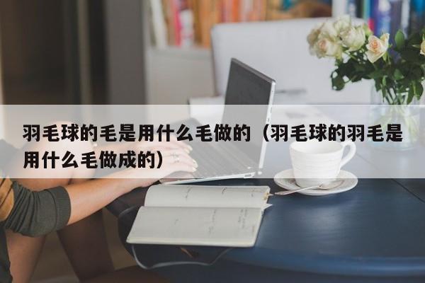 羽毛球的毛是用什么毛做的（羽毛球的羽毛是用什么毛做成的）