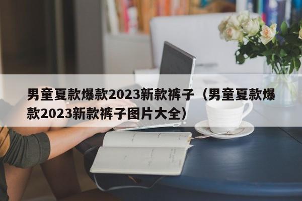 男童夏款爆款2023新款裤子（男童夏款爆款2023新款裤子图片大全）