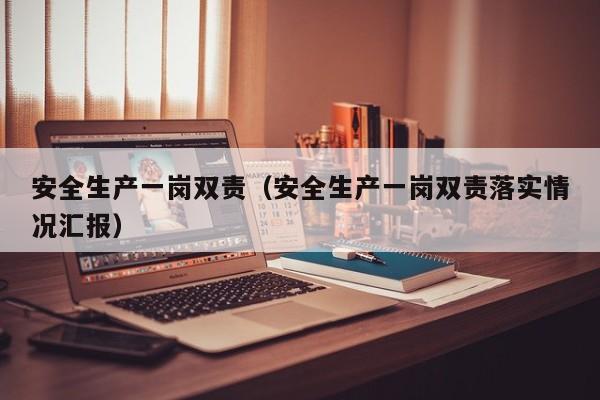 安全生产一岗双责（安全生产一岗双责落实情况汇报）