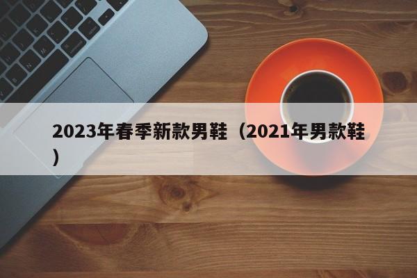 2023年春季新款男鞋（2021年男款鞋）