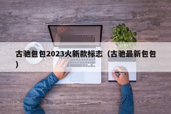 古驰包包2023火新款标志（古驰最新包包）