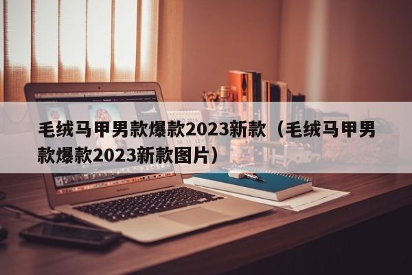 毛绒马甲男款爆款2023新款（毛绒马甲男款爆款2023新款图片）