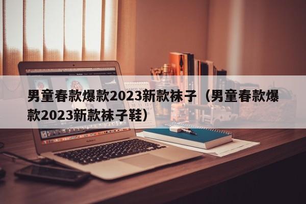 男童春款爆款2023新款袜子（男童春款爆款2023新款袜子鞋）