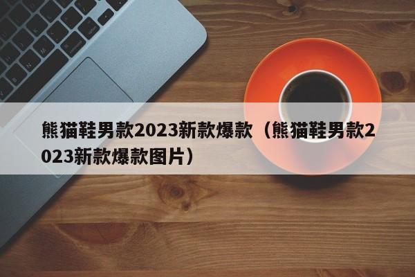 熊猫鞋男款2023新款爆款（熊猫鞋男款2023新款爆款图片）