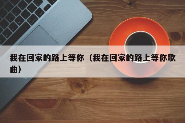 我在回家的路上等你（我在回家的路上等你歌曲）