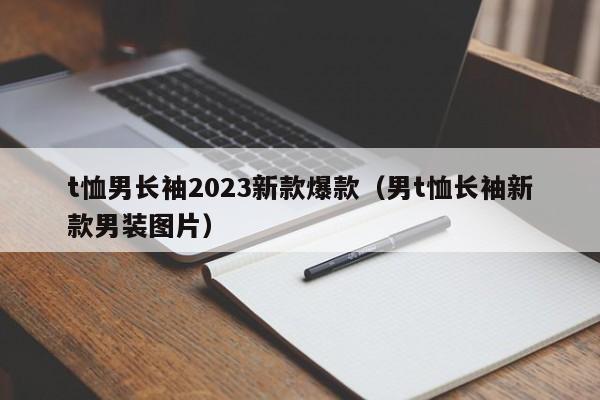 t恤男长袖2023新款爆款（男t恤长袖新款男装图片）