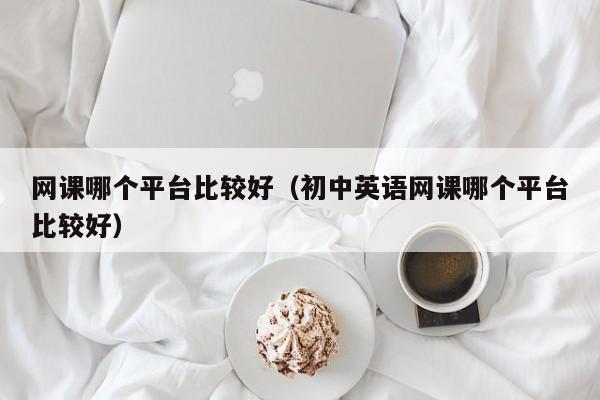 网课哪个平台比较好（初中英语网课哪个平台比较好）