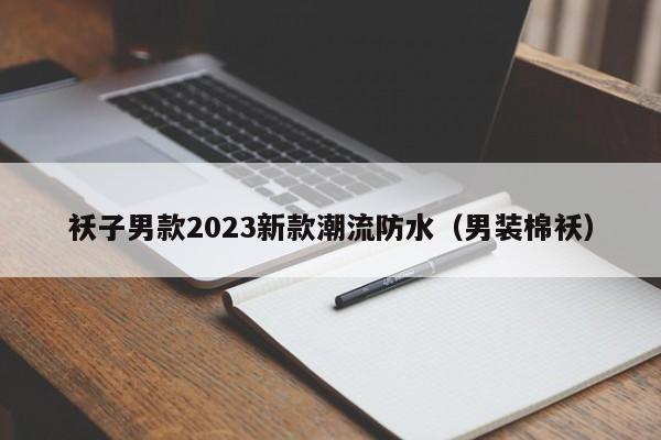 袄子男款2023新款潮流防水（男装棉袄）