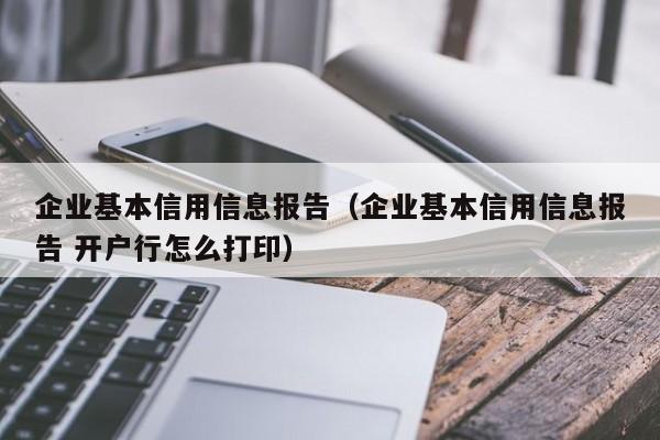 企业基本信用信息报告（企业基本信用信息报告 开户行怎么打印）