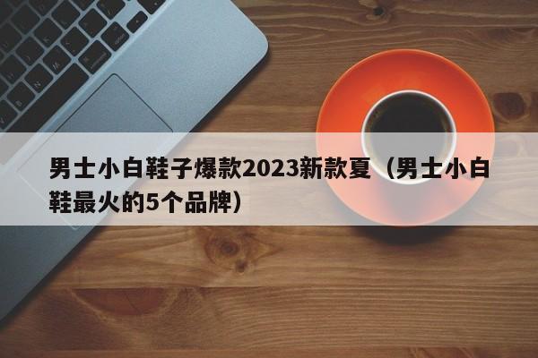 男士小白鞋子爆款2023新款夏（男士小白鞋最火的5个品牌）