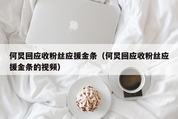 何炅回应收粉丝应援金条（何炅回应收粉丝应援金条的视频）