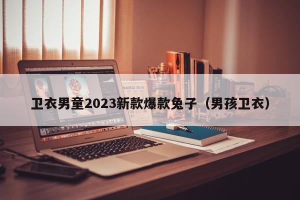 卫衣男童2023新款爆款兔子（男孩卫衣）