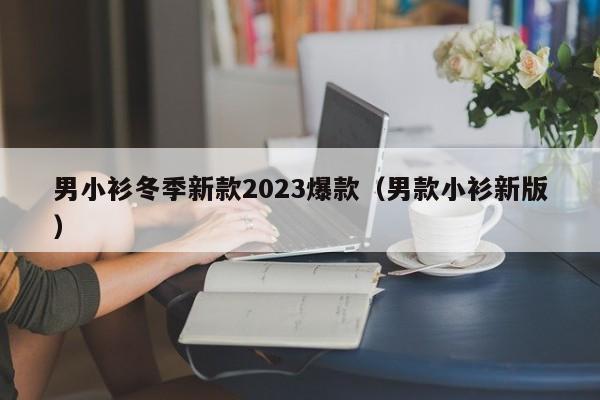 男小衫冬季新款2023爆款（男款小衫新版）