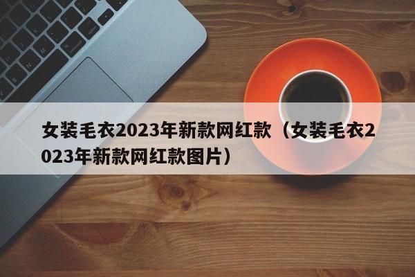 女装毛衣2023年新款网红款（女装毛衣2023年新款网红款图片）