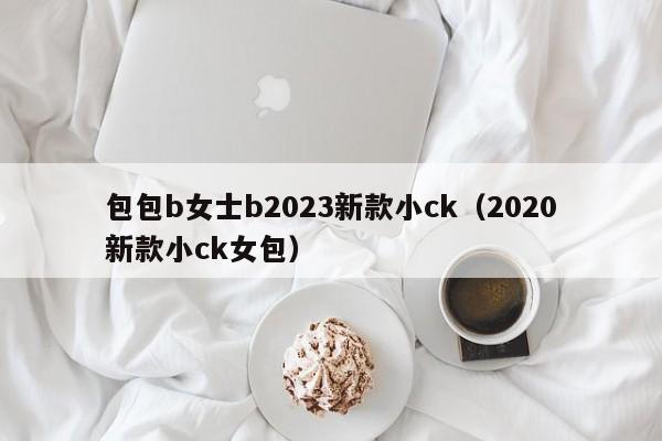 包包b女士b2023新款小ck（2020新款小ck女包）