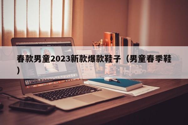 春款男童2023新款爆款鞋子（男童春季鞋）