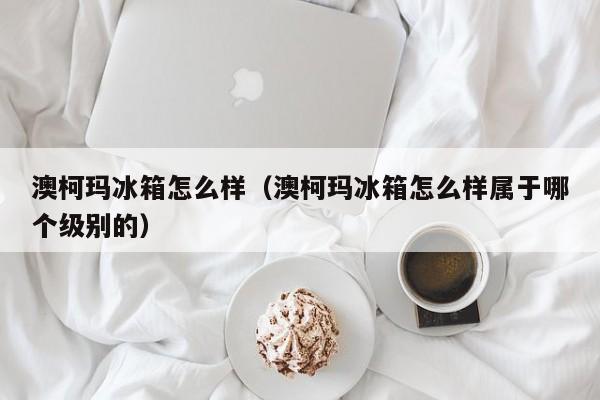 澳柯玛冰箱怎么样（澳柯玛冰箱怎么样属于哪个级别的）