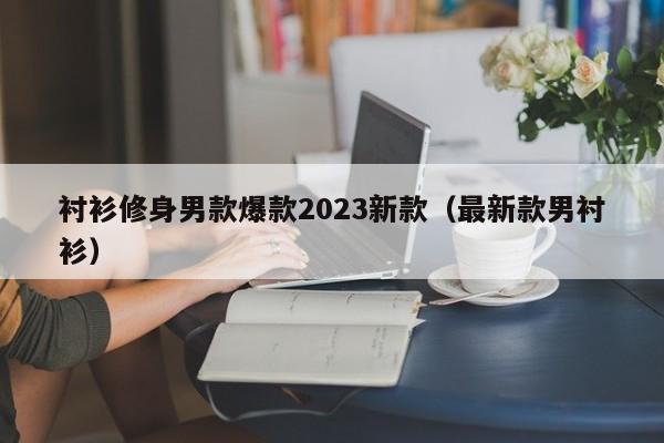 衬衫修身男款爆款2023新款（最新款男衬衫）