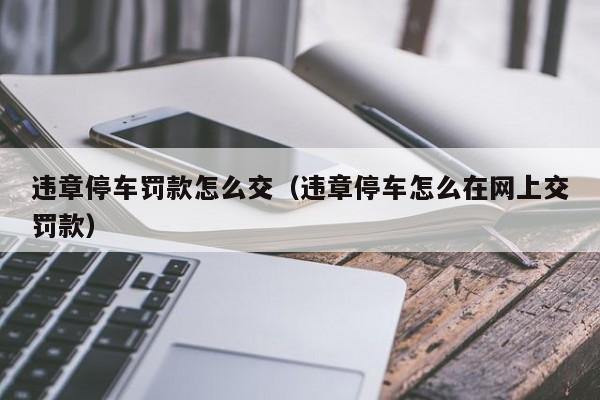 违章停车罚款怎么交（违章停车怎么在网上交罚款）